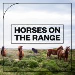 Blastwave FX Horses on the Range [WAV]
