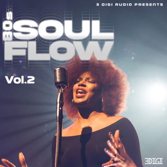 Innovative Samples 80's Soul Flow Vol.2 [WAV]