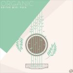 New Nation Organic Guitar [WAV, MiDi]