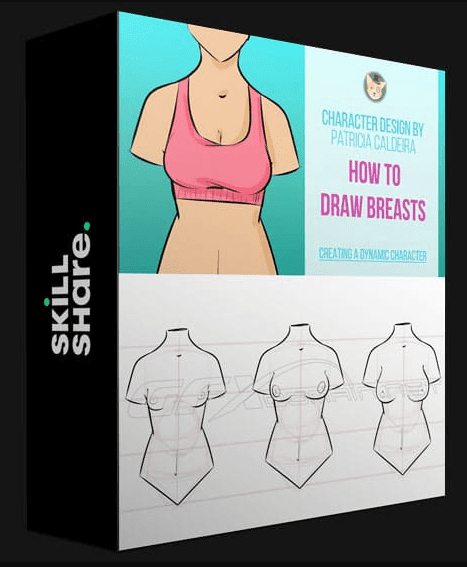 SKILLSHARE – HOW TO DRAW BREASTS EASILY – HUMAN ANATOMY SIMPLIFIED!