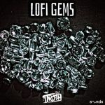 DJ 1Truth LoFi Gems [WAV]