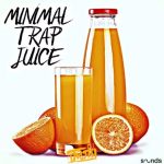 DJ 1Truth Minimal Trap Juice [WAV]