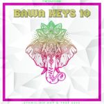 Dynasty Loops Bawa Keys 10 [WAV]