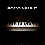 Dynasty Loops Bawa Keys 14 [WAV]