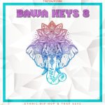 Dynasty Loops Bawa Keys 7 [WAV]