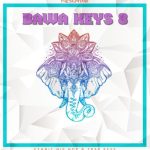 Dynasty Loops Bawa Keys 8 [WAV]