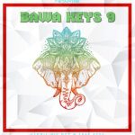 Dynasty Loops Bawa Keys 9 [WAV]