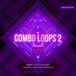 Dynasty Loops Combo Loops 2 [WAV]