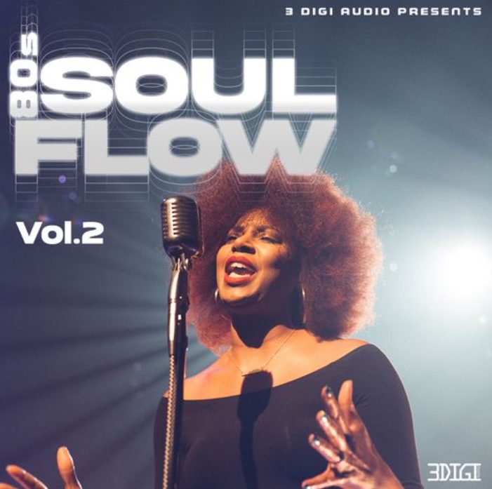 Innovative Samples 80's Soul Flow Vol.4 [WAV]