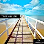 Loopersound Tropicalism [WAV, MiDi]