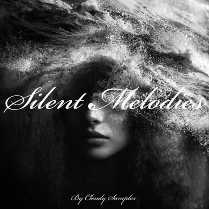 Rightsify Silent Melodies [WAV]
